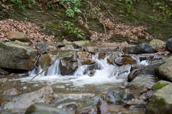 River at Laurel Run Park (Church Hill, TN)