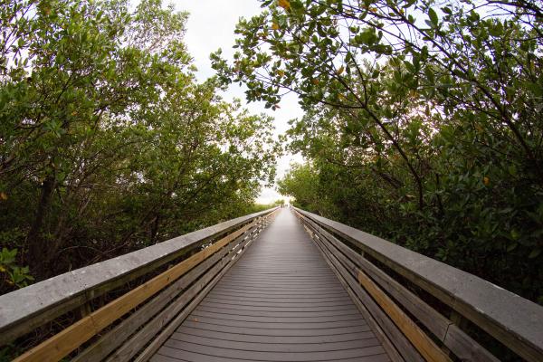 Boardwalk in Florida